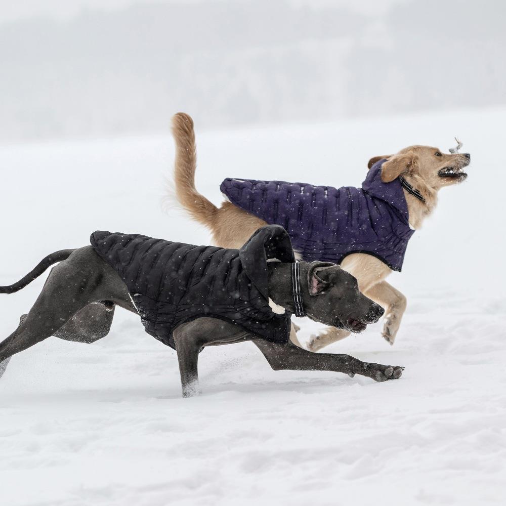 GF PET  Cloud Köpek Montu - Mor - Köpek Kıyafetleri