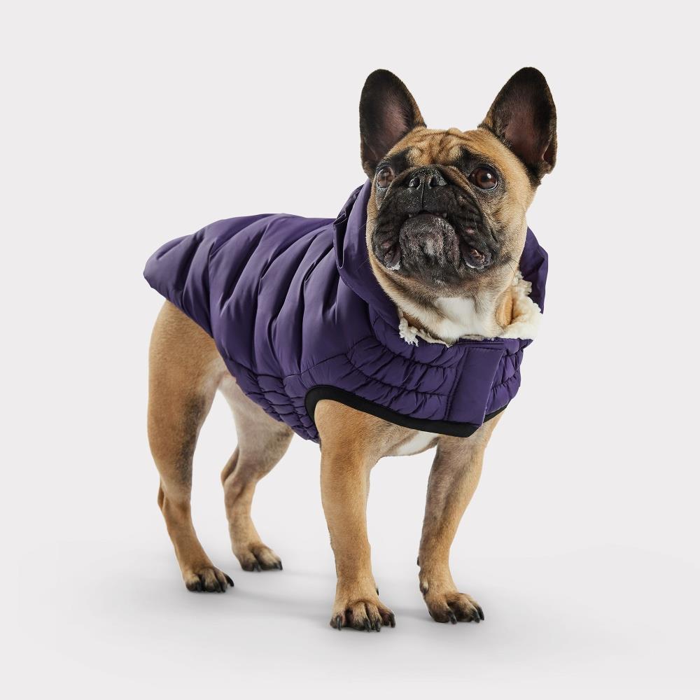 GF PET  Cloud Köpek Montu - Mor - Köpek Kıyafetleri