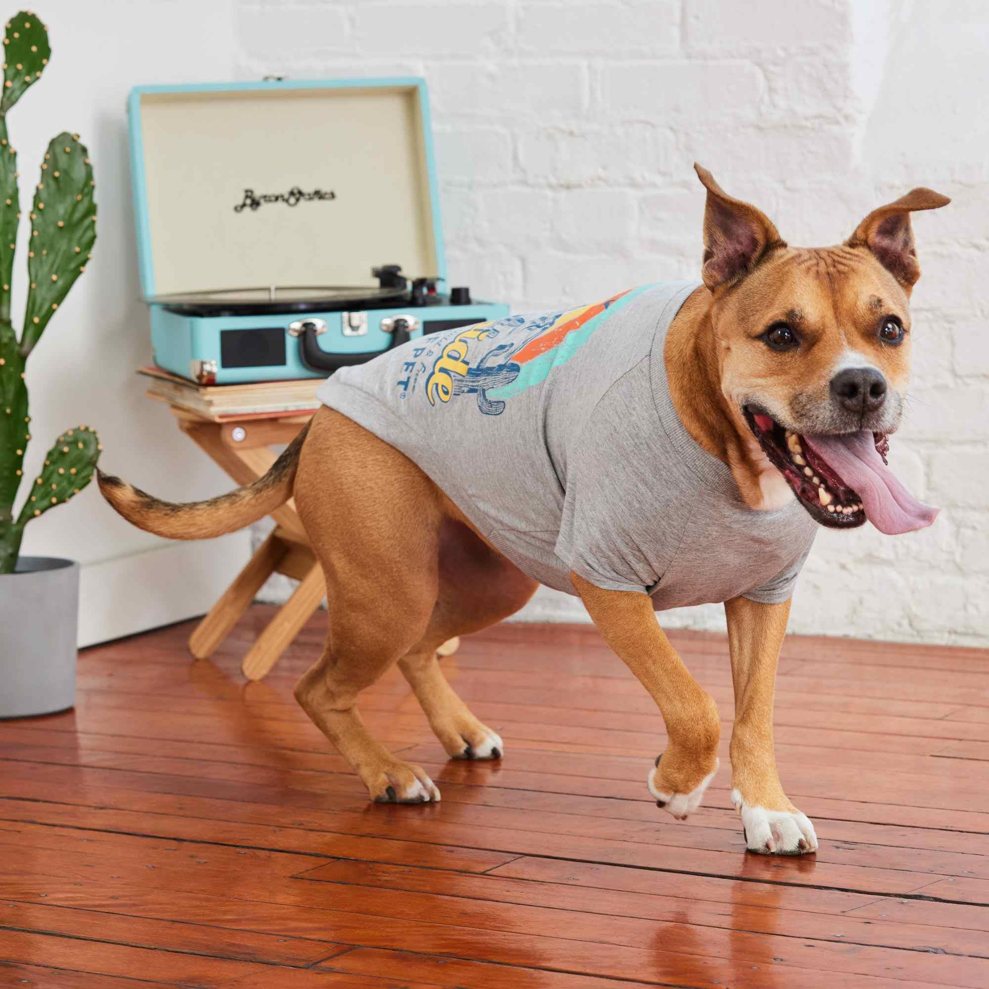 GF Pet Graphic Tee Köpek Tshirt - Gri - Köpek Kıyafetleri