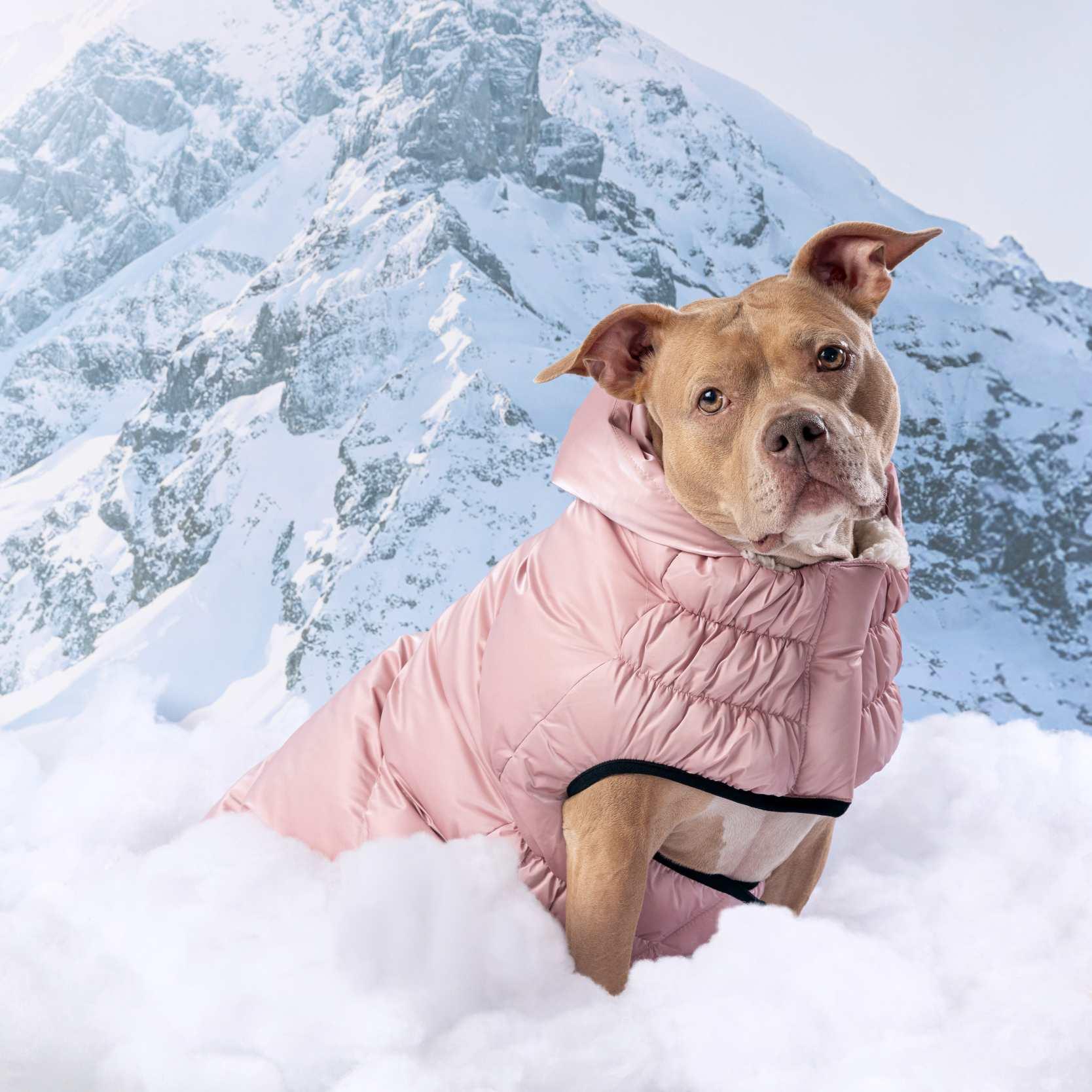 GF PET Lunar Glow Köpek Montu - Pembe - Köpek Kıyafetleri
