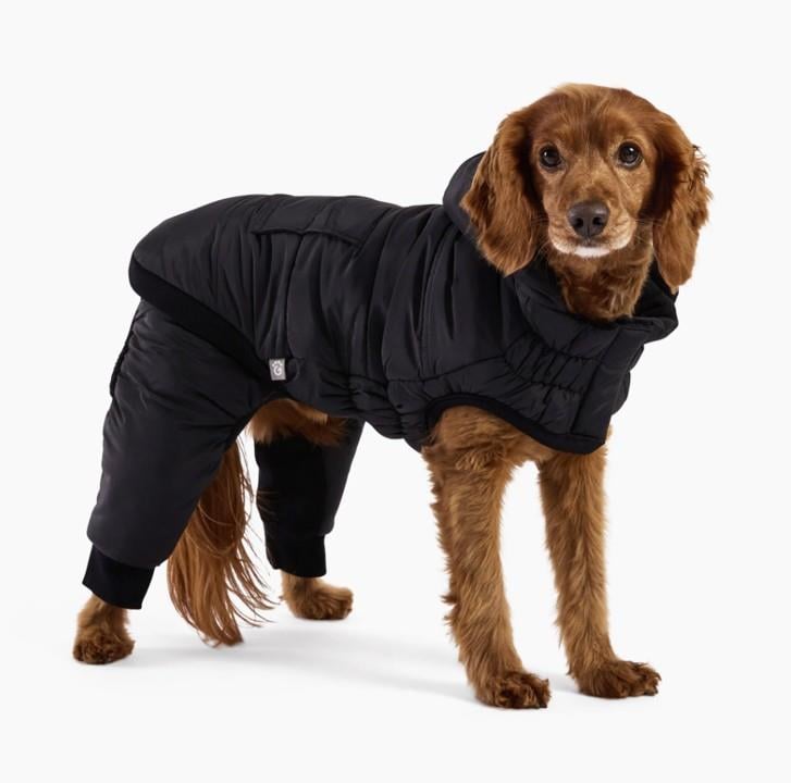 GF PET Odyssey Köpek Kar Tulumu - Köpek Kıyafetleri