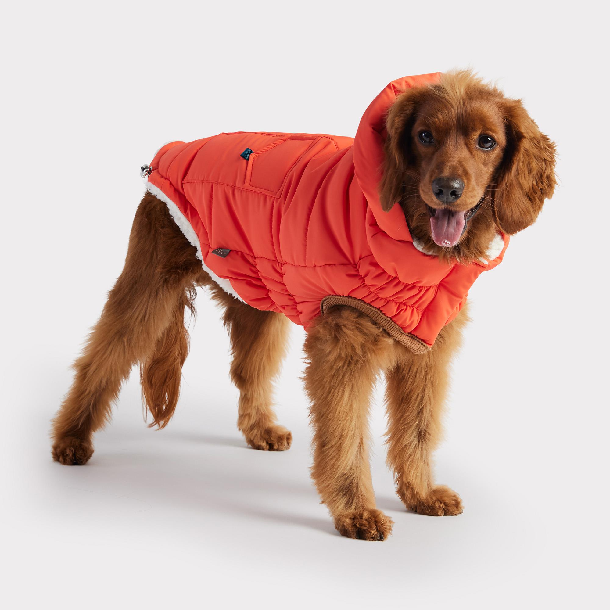 GF PET Super Puff Parka Köpek Montu - Turuncu - Köpek Kıyafetleri