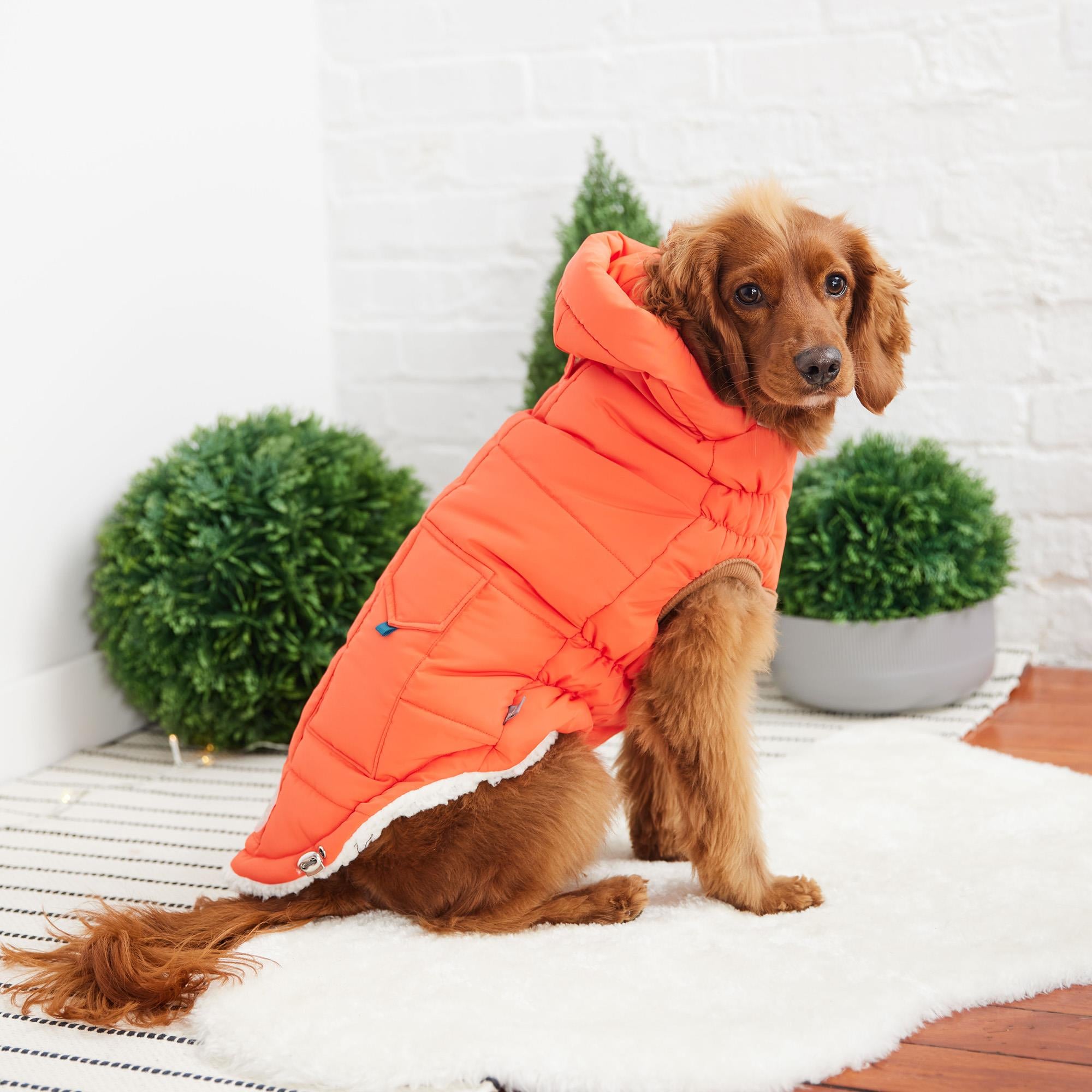 GF PET Super Puff Parka Köpek Montu - Turuncu - Köpek Kıyafetleri