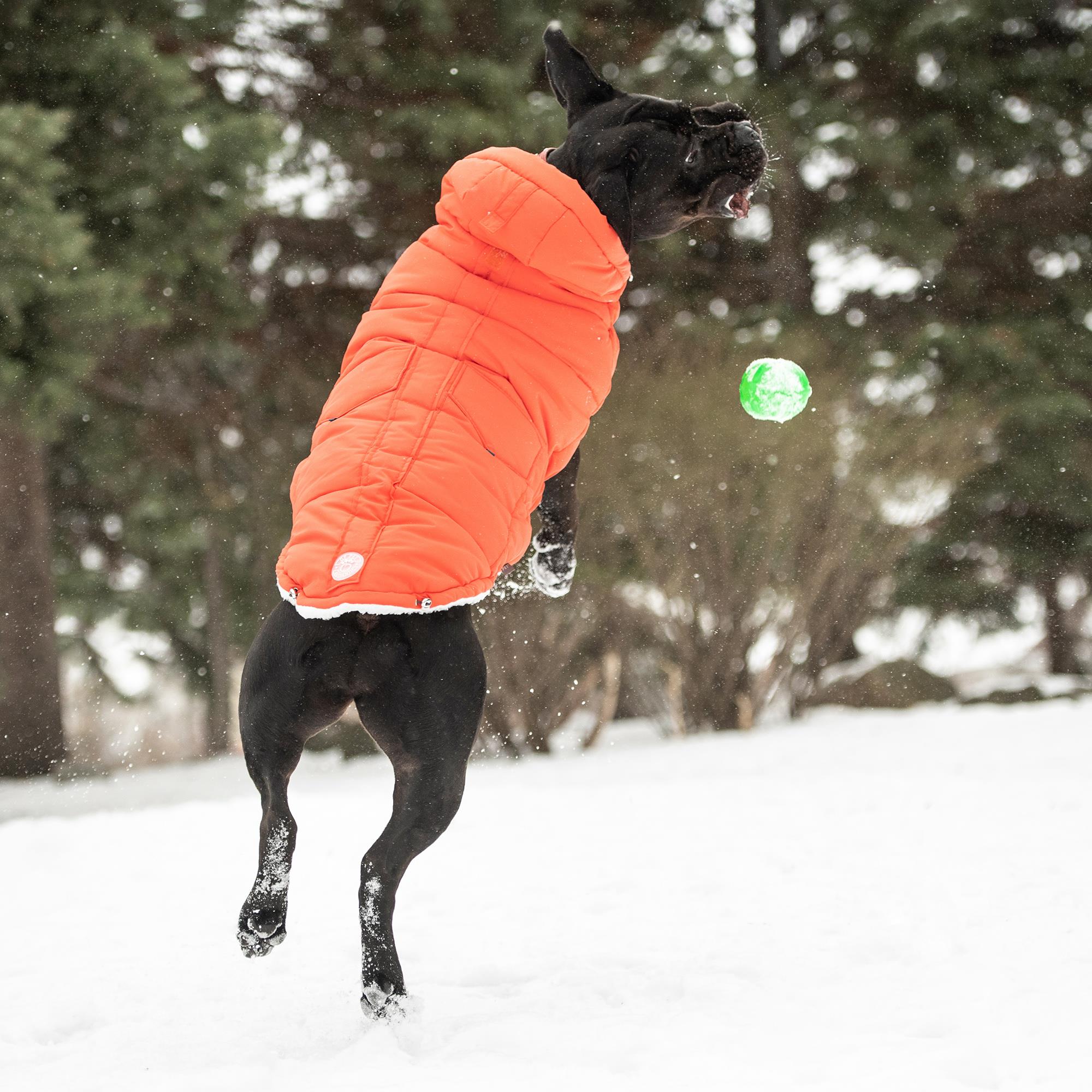GF PET Super Puff Parka Köpek Montu - Turuncu - Köpek Kıyafetleri