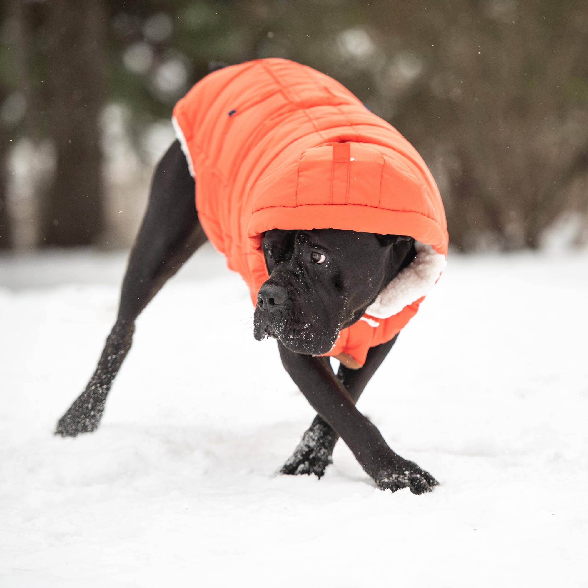 GF PET Super Puff Parka Köpek Montu - Turuncu - Köpek Kıyafetleri