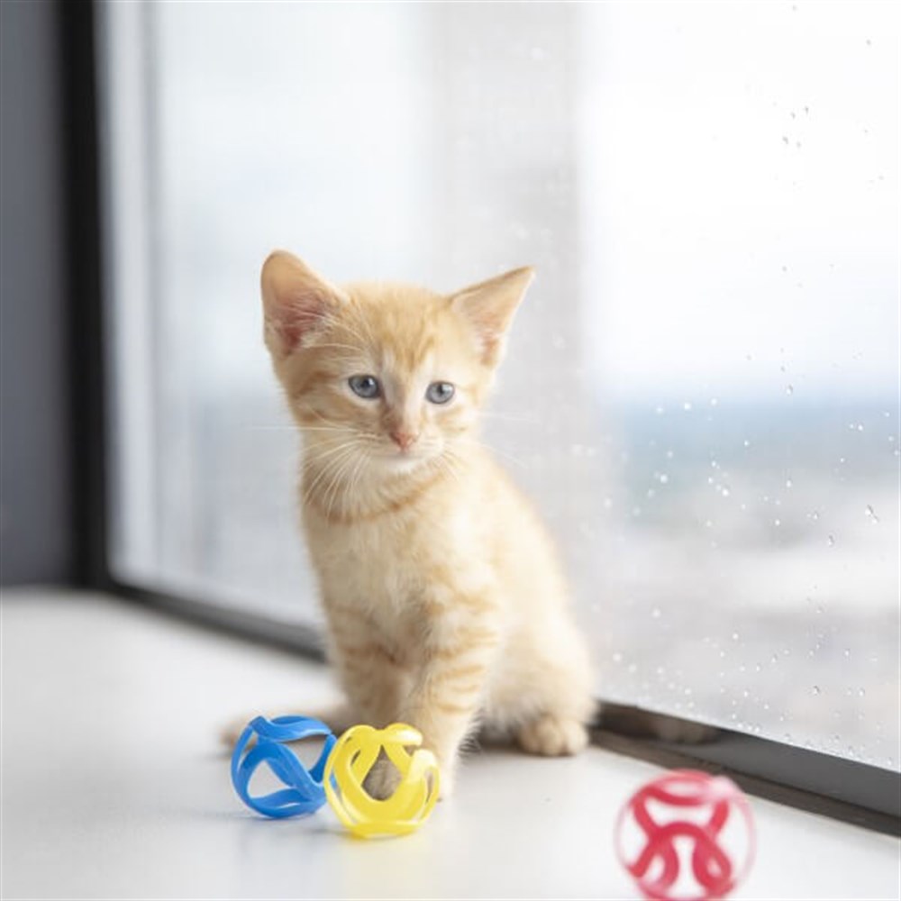 JW Cat Crazies Kedi Oyuncağı