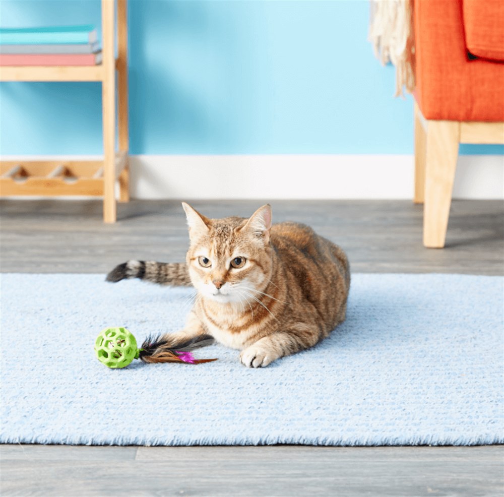JW Cataction Tüylü ve Zilli Kedi Oyun Topu