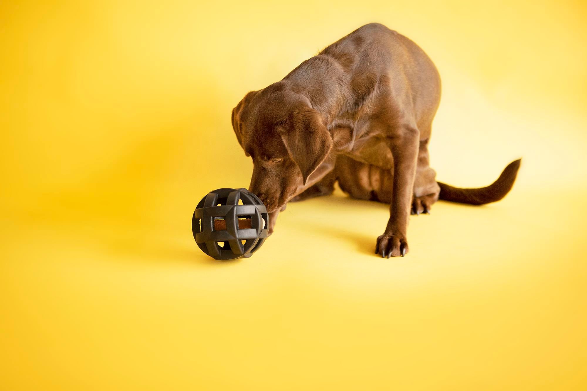 JW Hol-ee Roller Ultra Dayanıklı Köpek Oyun Topu - Köpek Oyuncakları
