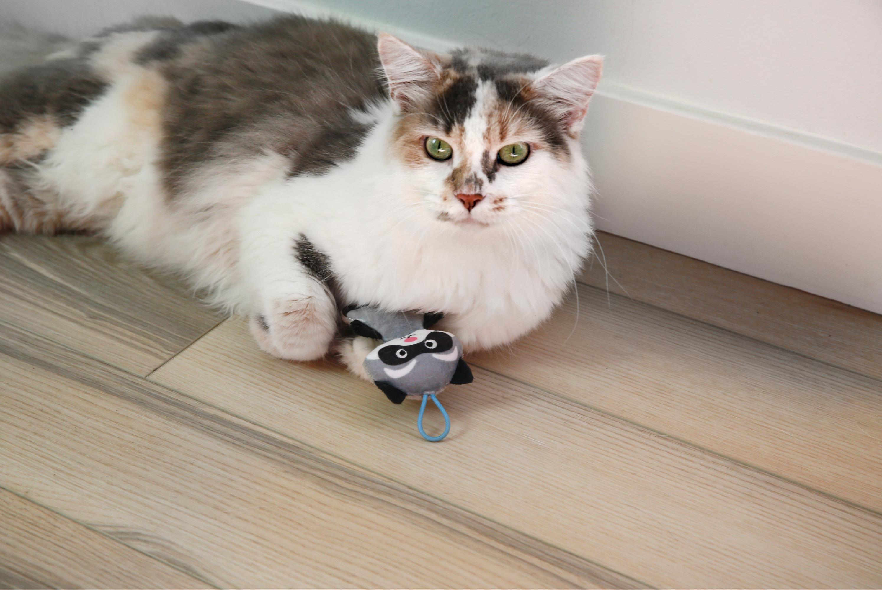 Mad Cat Slingshot Raccoon Matatabili Kedi Oyuncağı - Kumaş ve Peluş Oyuncaklar