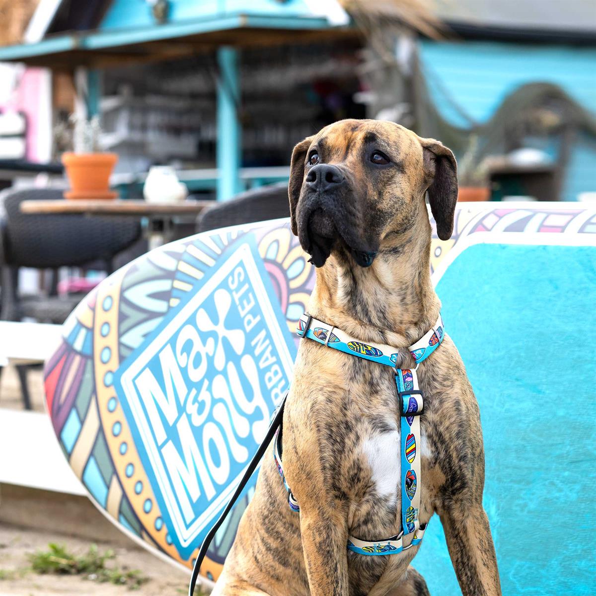 Max & Molly Aloha Köpek Göğüs Tasması - Göğüs Tasmaları