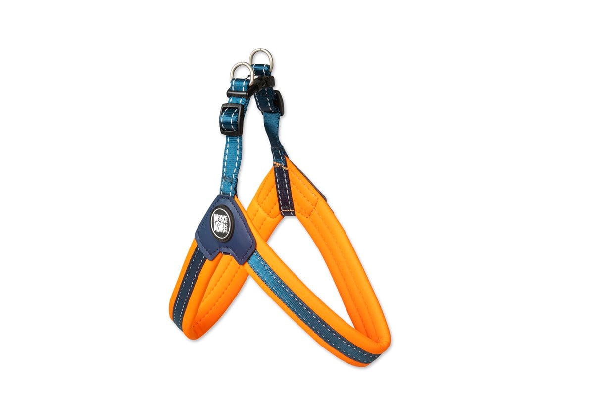 Max & Molly Q-Fit Matrix Orange Göğüs Tasması - Boyun Tasmaları