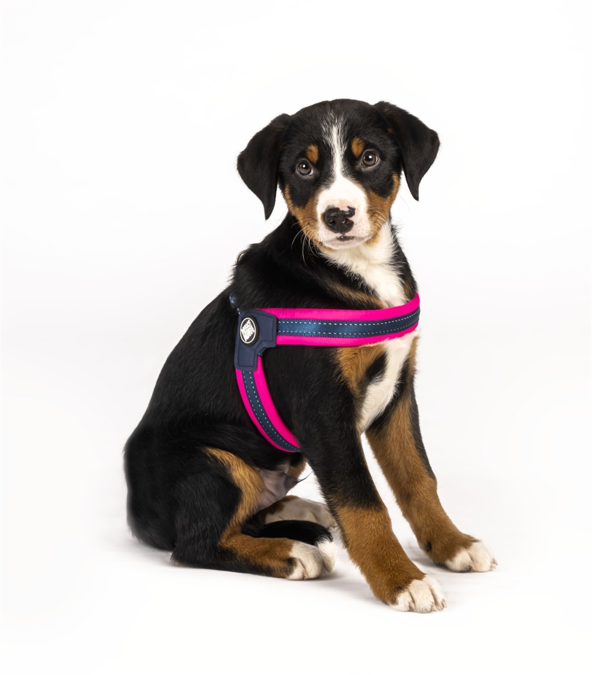 Max & Molly Q-Fit Matrix Pink Göğüs Tasması - Göğüs Tasmaları