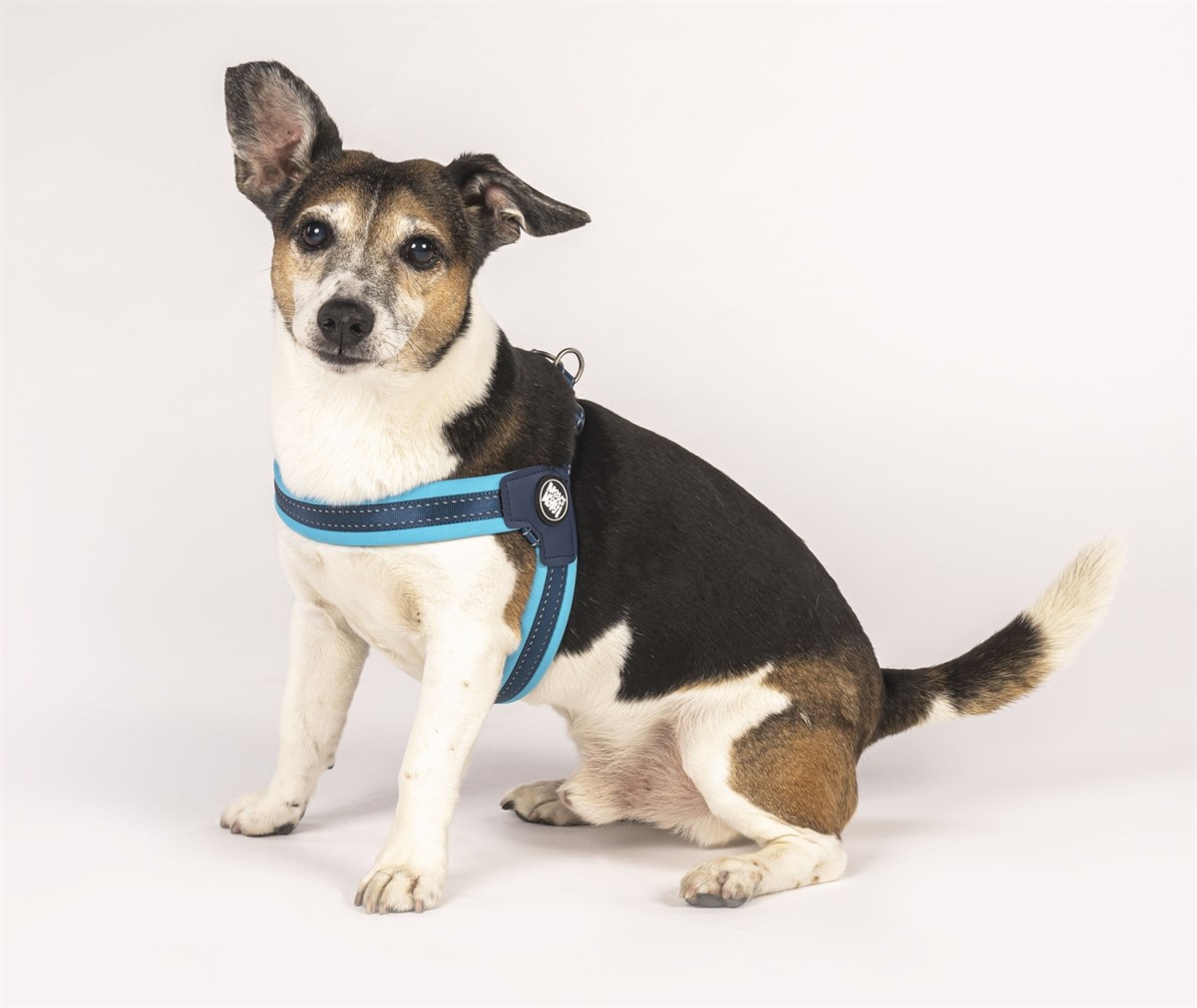 Max & Molly Q-Fit Matrix Sky Blue Göğüs Tasması - Göğüs Tasmaları
