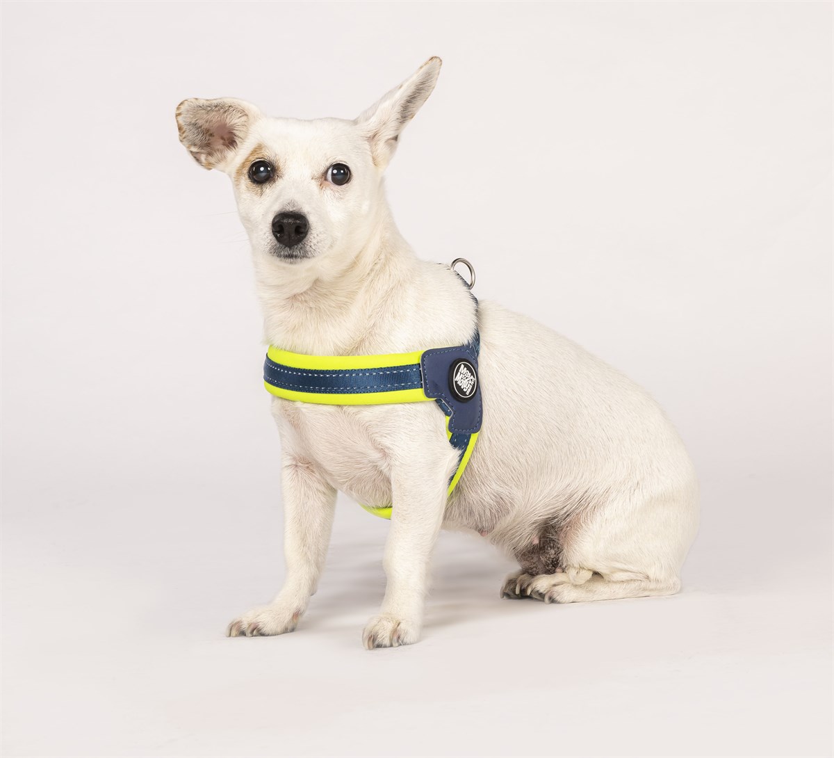 Max & Molly Q-Fit Matrix Yellow Göğüs Tasması - Göğüs Tasmaları