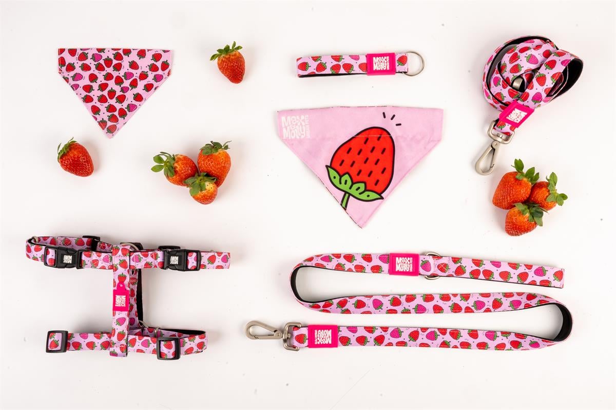Max & Molly Smart ID Strawberry Dream Köpek Boyun Tasması - Boyun Tasmaları