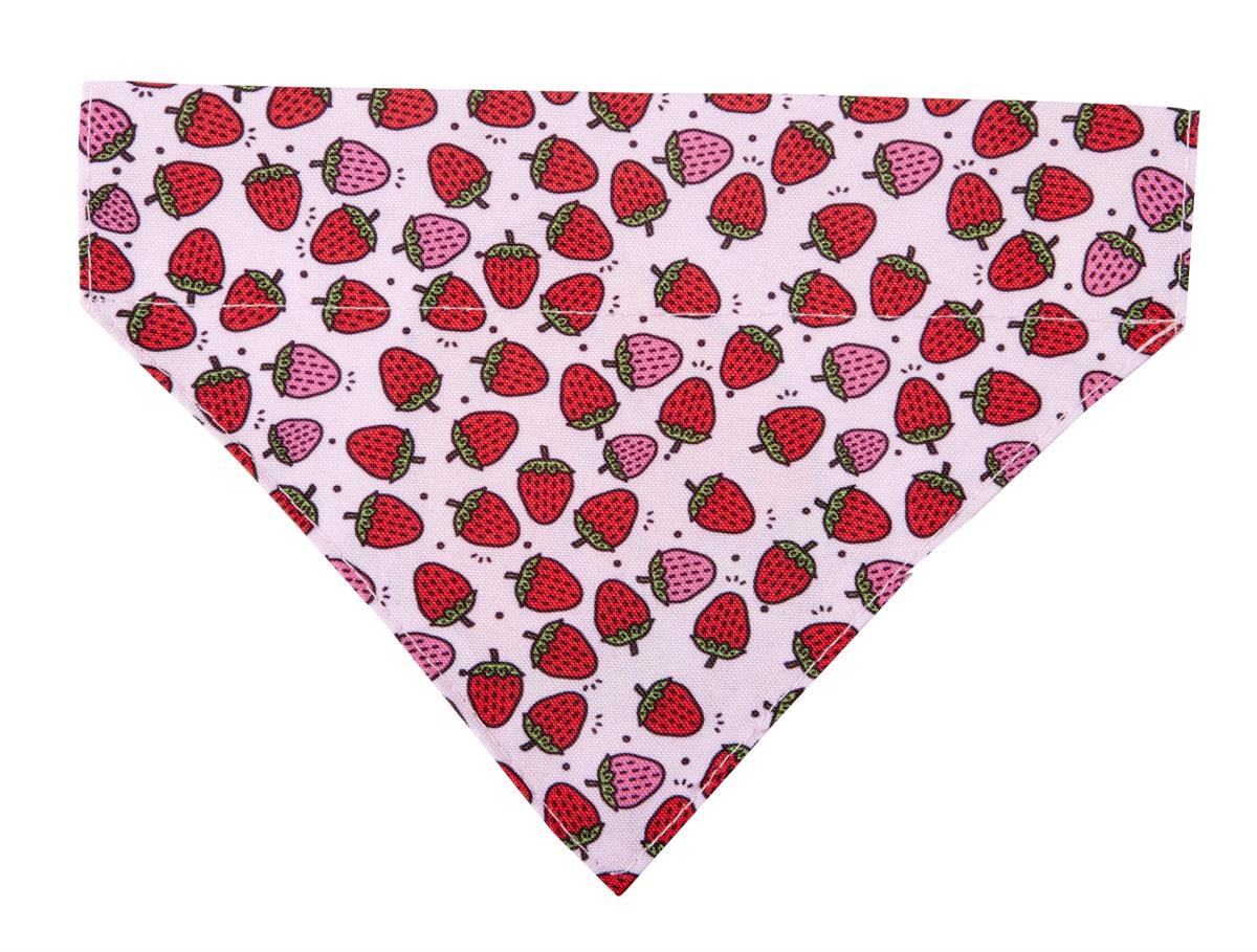 Max & Molly Strawberry Dream Bandana - Bandanalar
