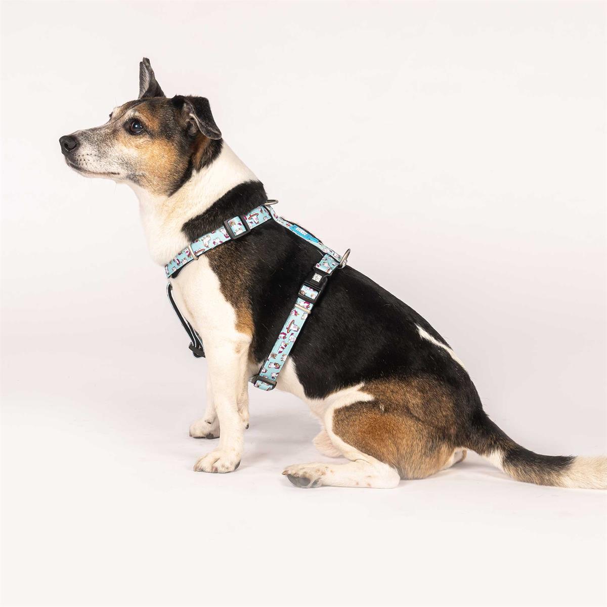 Max & Molly Unicorn Köpek Göğüs Tasması - Göğüs Tasmaları