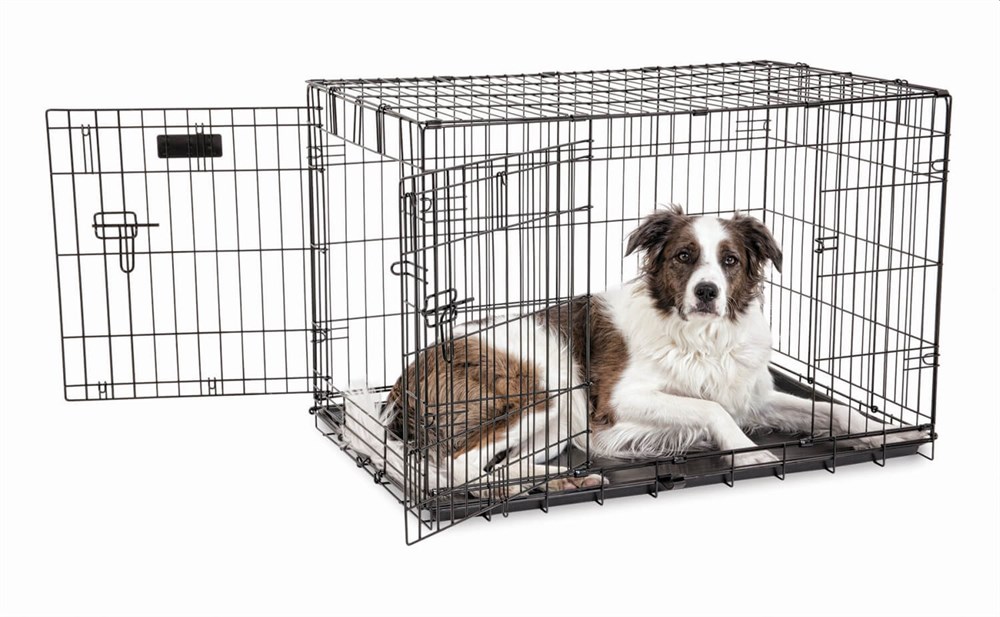Petmate İki Kapılı Tel Kafes (76x48x54cm)