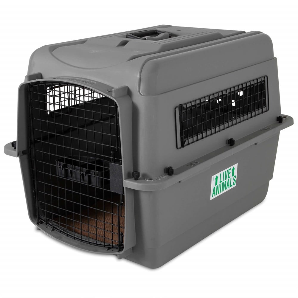 Petmate Sky Kennel Taşıma Kafesi (72 x 52 x 55cm) - Köpek Taşıma ve Kafesleri
