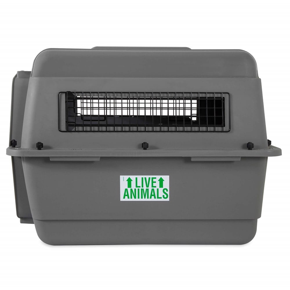 Petmate Sky Kennel Taşıma Kafesi (72 x 52 x 55cm) - Köpek Taşıma ve Kafesleri