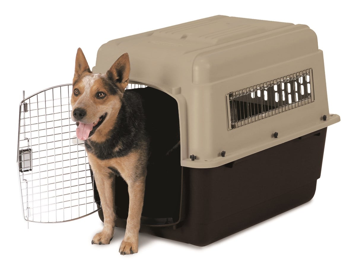 Petmate Ultra Vari Kennel Taşıma Kafesi No:5 (82 x 58 x 61cm) - Plastik Taşımalar