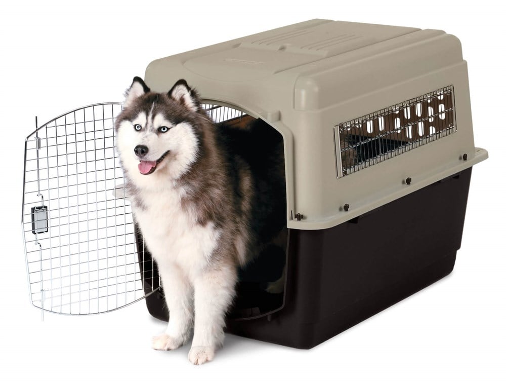 Petmate Ultra Vari Taşıma Kafesi (102 x 69 x 76cm) - Köpek Taşıma ve Kafesleri