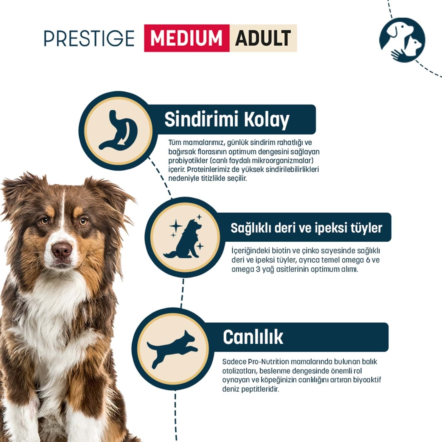 Pro Nutrition Prestige Orta Irk Yetişkin Köpek Maması 14KG - Köpek Kuru Mamaları