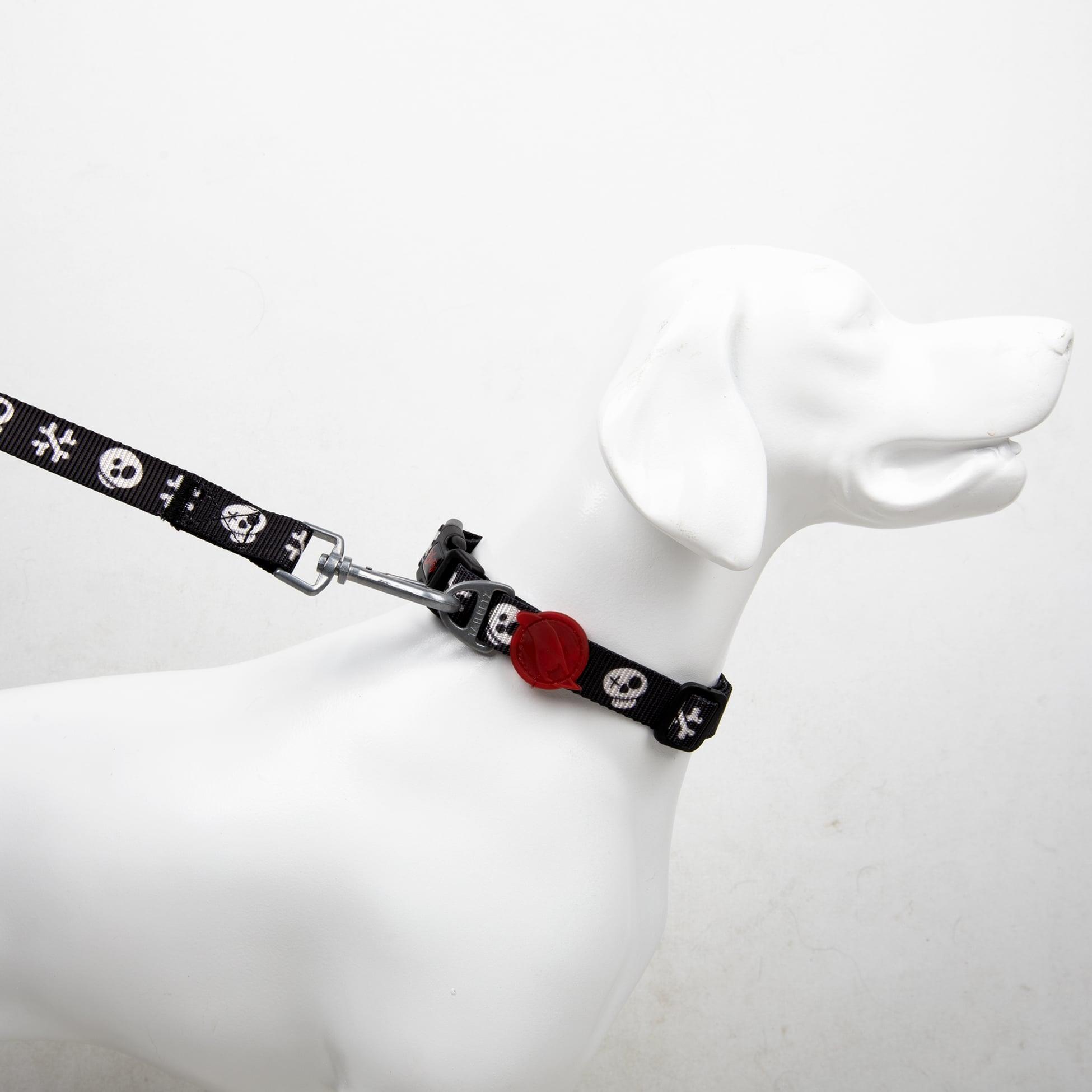 Tailpetz Köpek Boyun Tasmaları