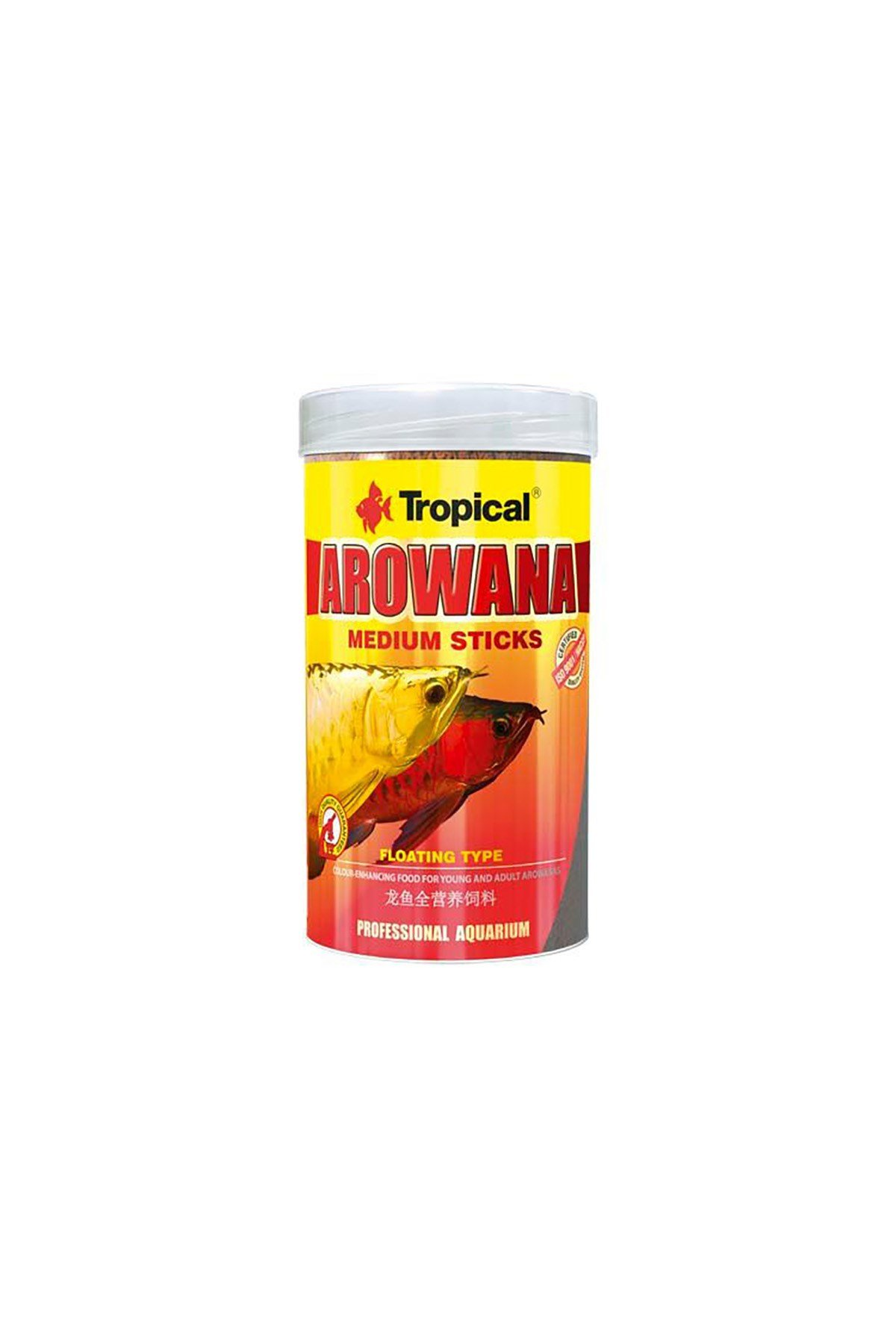 Tropical Arowana Medium