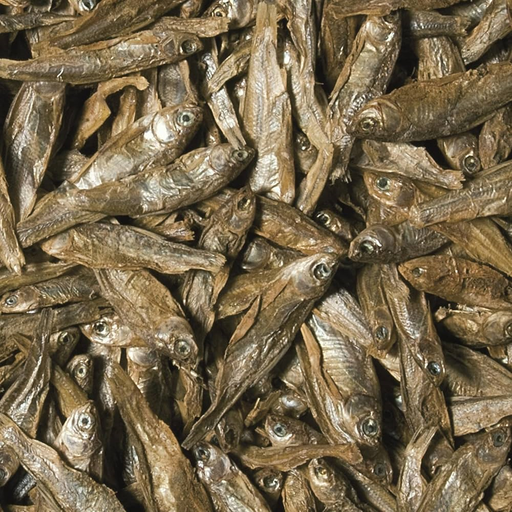 Tropical Dried Fish 100ML/15G