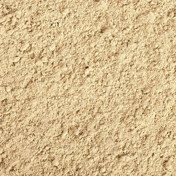 Tropical Gecko Cream Aprıcot (Kayısılı) 100ml/50Gr