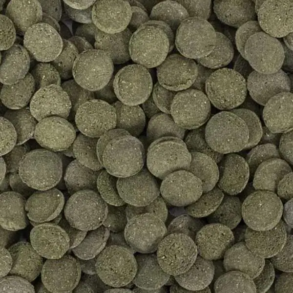 Tropical Hi Algae Discs 100ml/60G