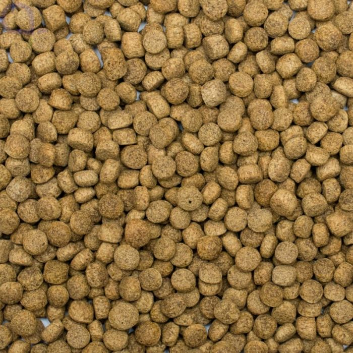 Tropical Koi Silkworm&Astaxanthin Pellet Size L 7Kg.