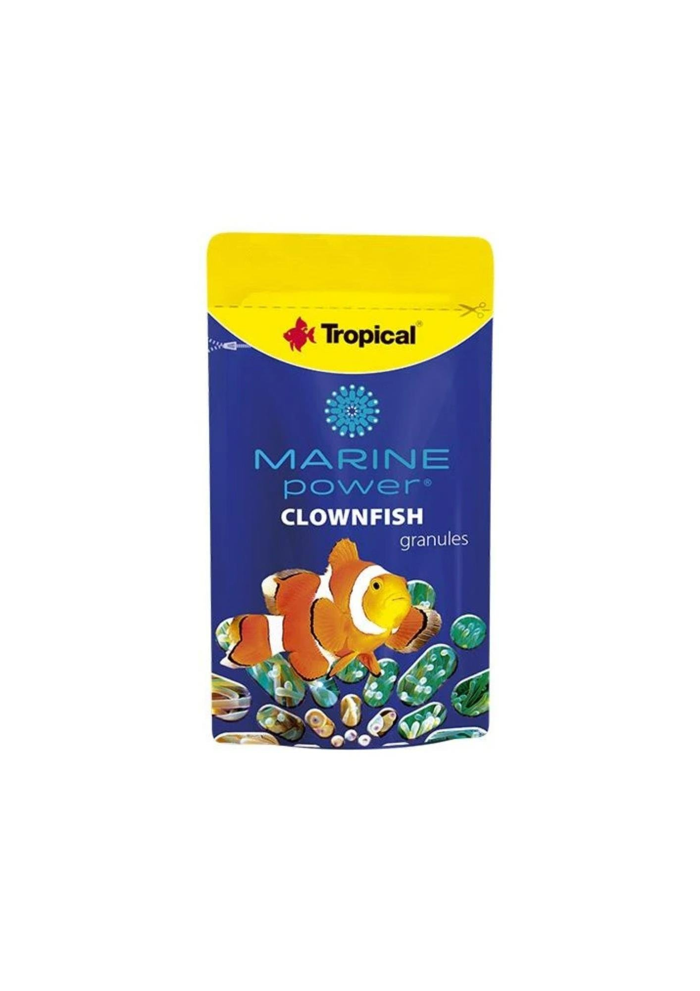 Tropical Marine Power Clownfish