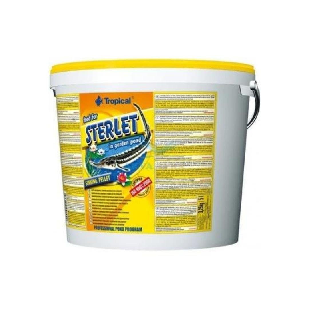 Tropical Sterillet Basic