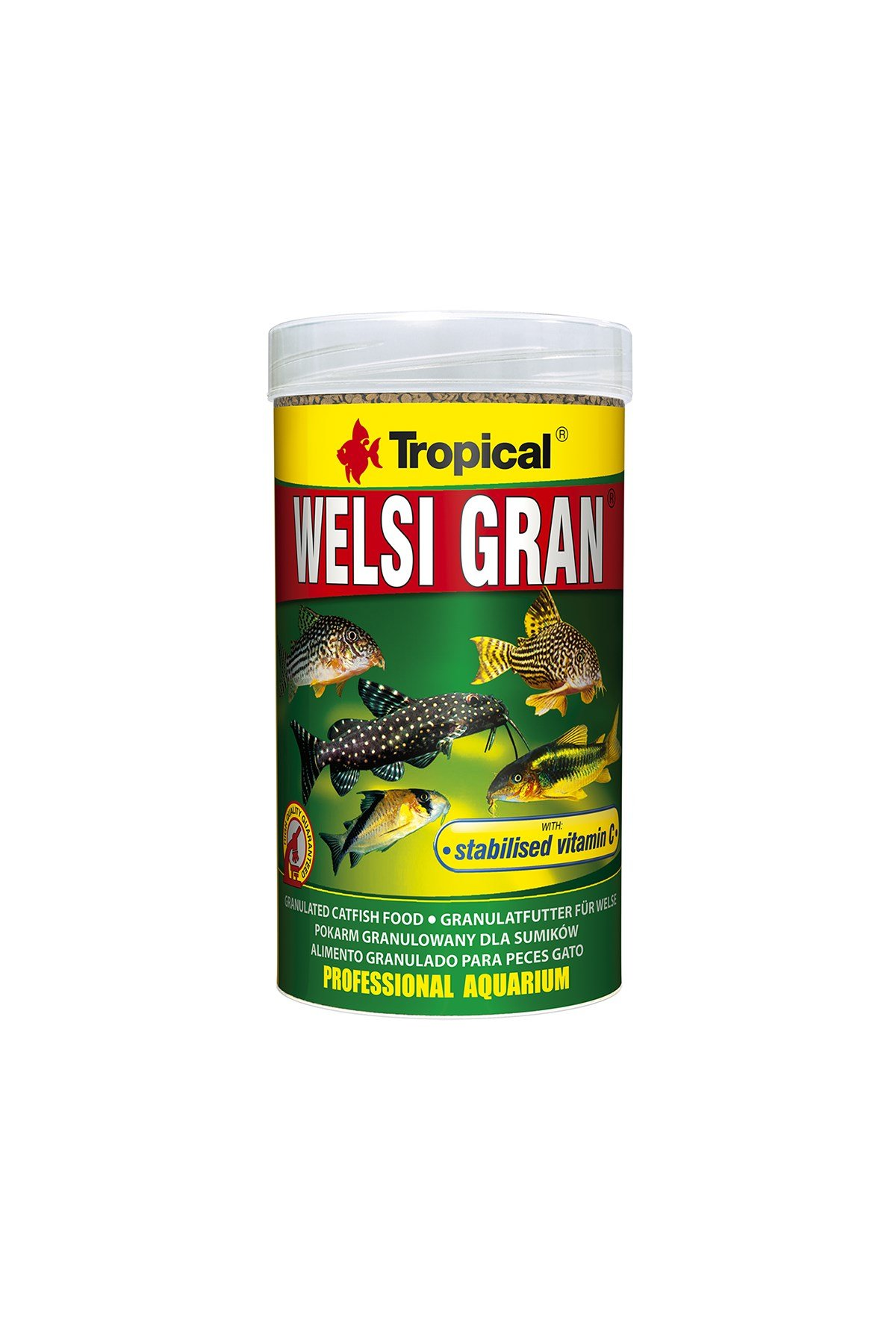 Tropical Welsi Gran