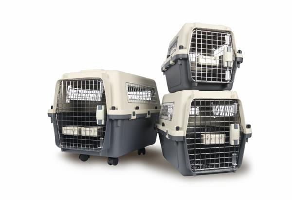 Zampa Kedi&Köpek Taşıma Boxı 97*67*83 cm