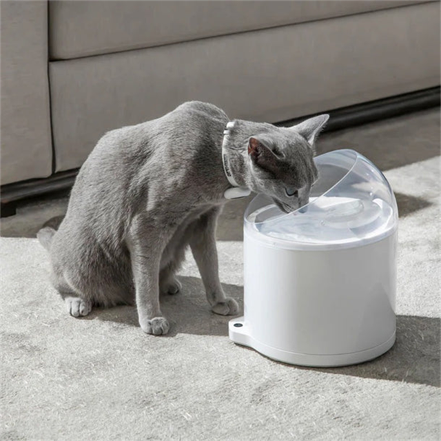 CATLINK Su Pınarı – Pure 2 UV, 2.6 Lt