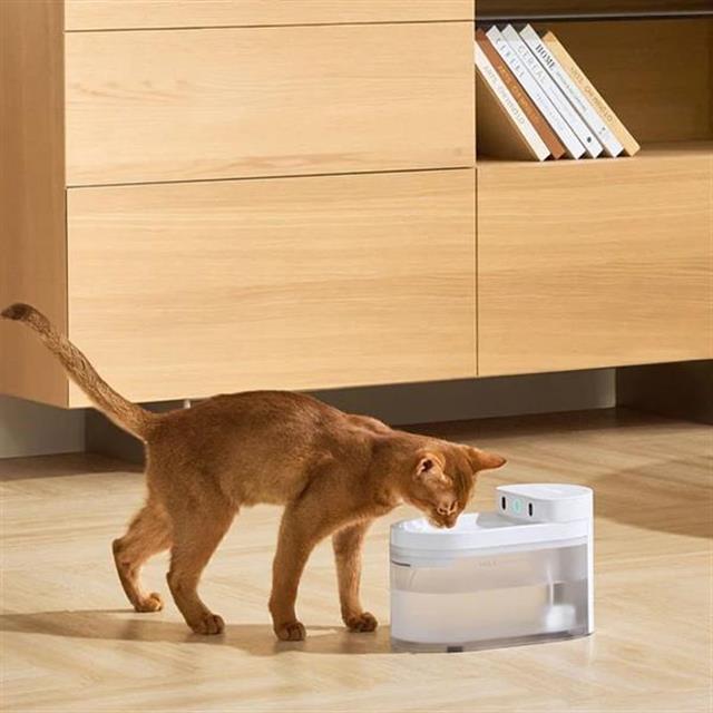 CATLINK Yapay Zekâlı Su Pınarı Kablosuz, 2.3 Lt