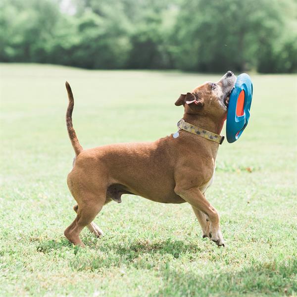 Chuckit! Fetch Flight Frizbi - Oyun Topları ve Frizbiler