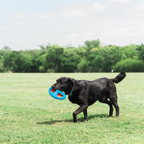 Chuckit! Fetch Flight Frizbi - Oyun Topları ve Frizbiler