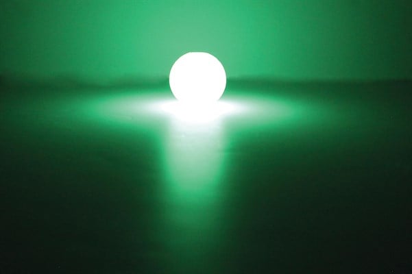 Chuckit! Max Glow Gece Parlayan Köpek Oyun Topu (Orta Boy) - Köpek Oyuncakları