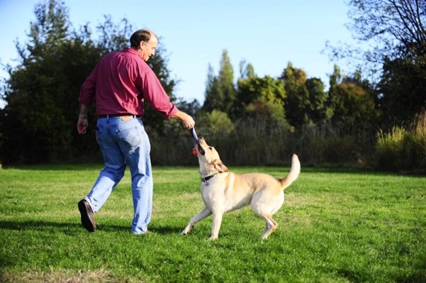 Chuckit! Ultra Duo Tug 2'li Köpek Çekiştirme Topu