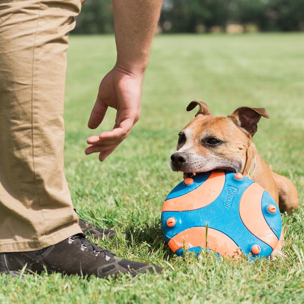 Chuckit! Whistle Flight Sesli Frizbi - Oyun Topları ve Frizbiler