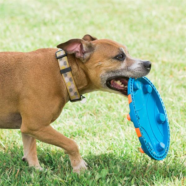 Chuckit! Whistle Flight Sesli Frizbi - Oyun Topları ve Frizbiler