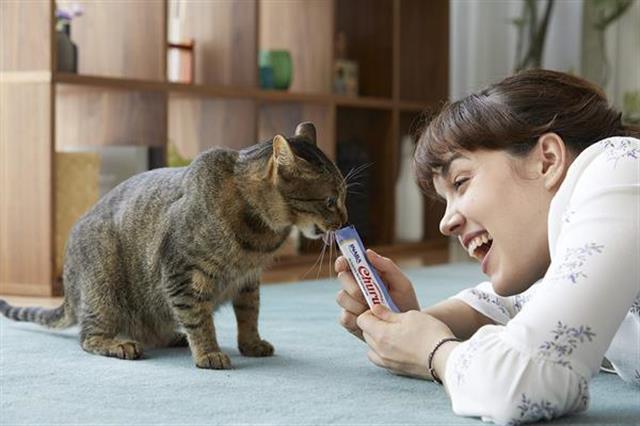 Ciao Churu Cream Ton Balıklı ve Tavuklu Kedi Ödül Kreması 4 x 14 Gr