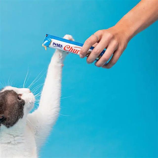 Ciao Churu Skin&Coat -Cilt ve Tüy Sağlığı- Ton balıklı Ödül Maması