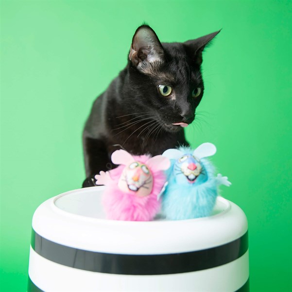 Fat Cat Fluff Bunnies Kedi Otlu Oyuncak - Kumaş ve Peluş Oyuncaklar