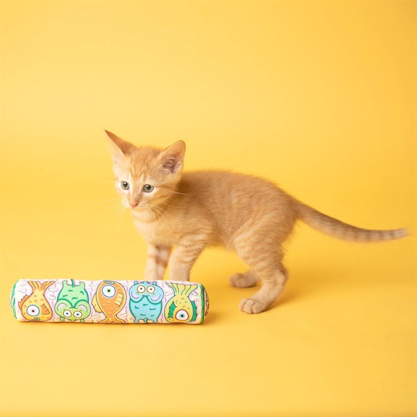 Fat Cat Gold Fish Kedi Oyuncağı - Kedi Oyuncakları