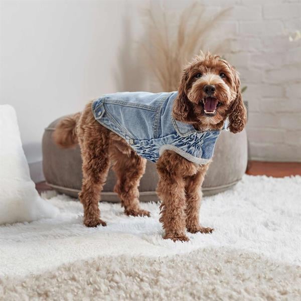 GF Pet 90's Köpek Kot Mont - Köpek Kıyafetleri